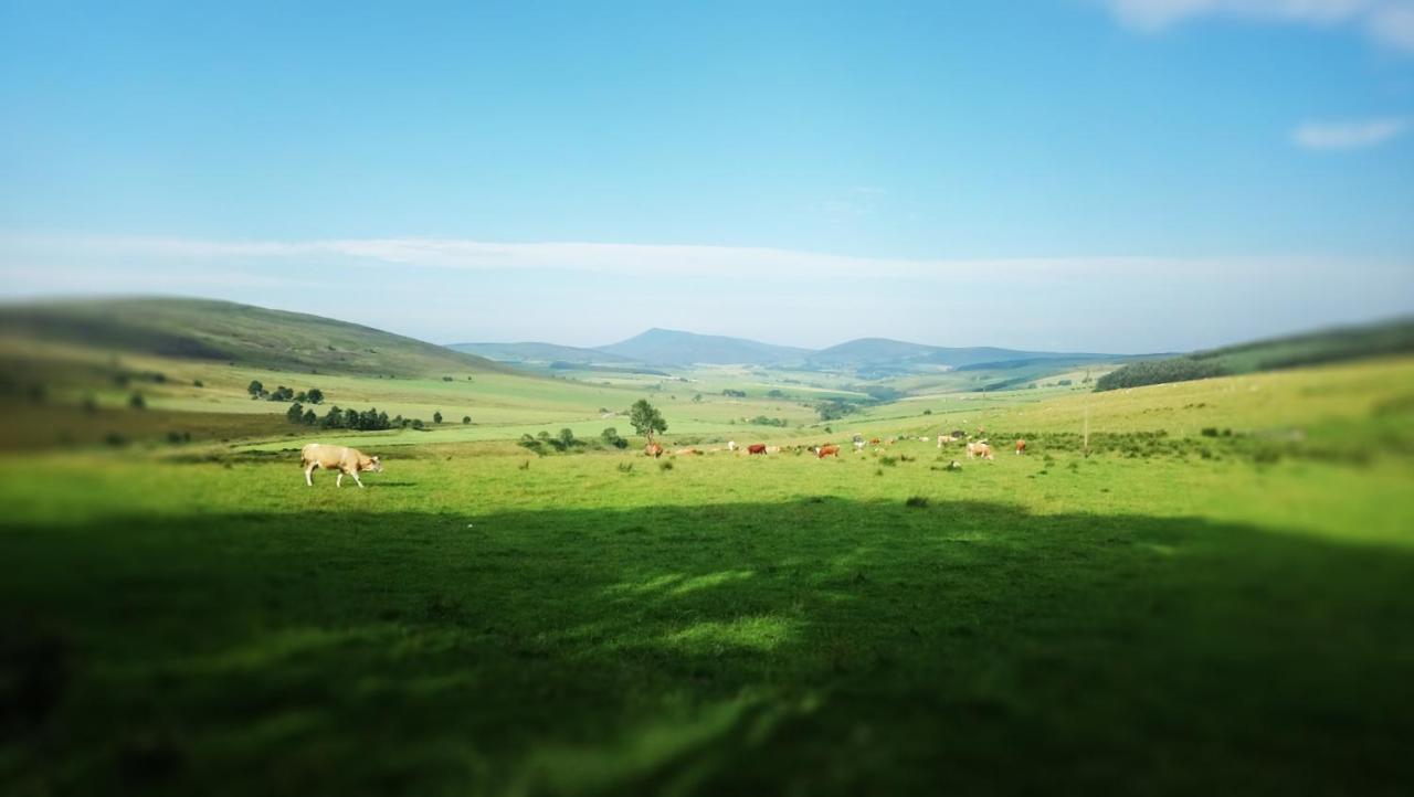 Little Robin B&B Dufftown Dış mekan fotoğraf